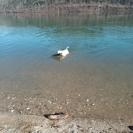 Nepo - 4 Appartement Peratschitzen