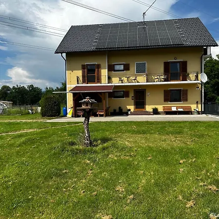 Nepo - 4 *