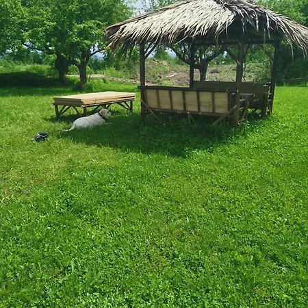 Nepo - 4 Appartement *