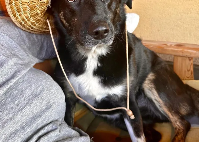 Apartament Nepo - 4 Peratschitzen