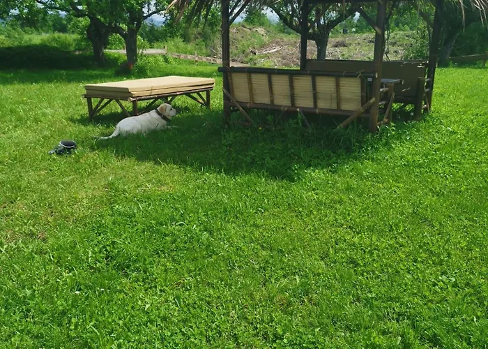 Nepo - 4 Apartament *